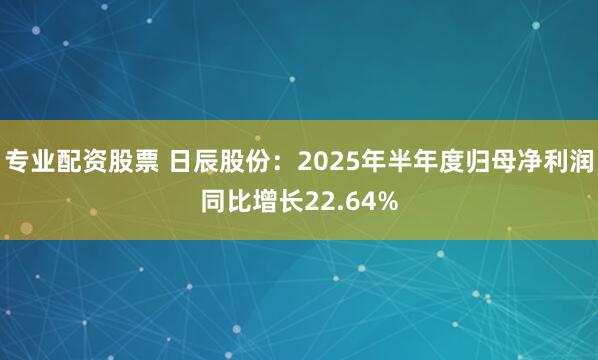 专业配资股票 日辰股份：2025年半年度归母净利润同比增长22.64%