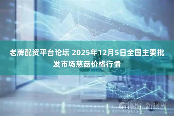 老牌配资平台论坛 2025年12月5日全国主要批发市场慈菇价格行情